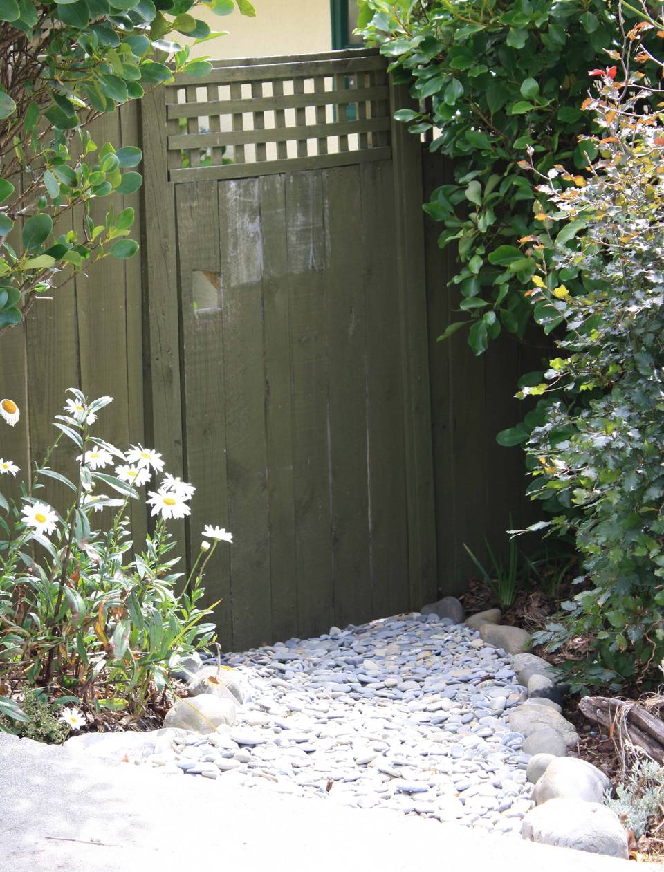 A green timber fence and gate with a lattice top, a river-stone drain and daisies in front