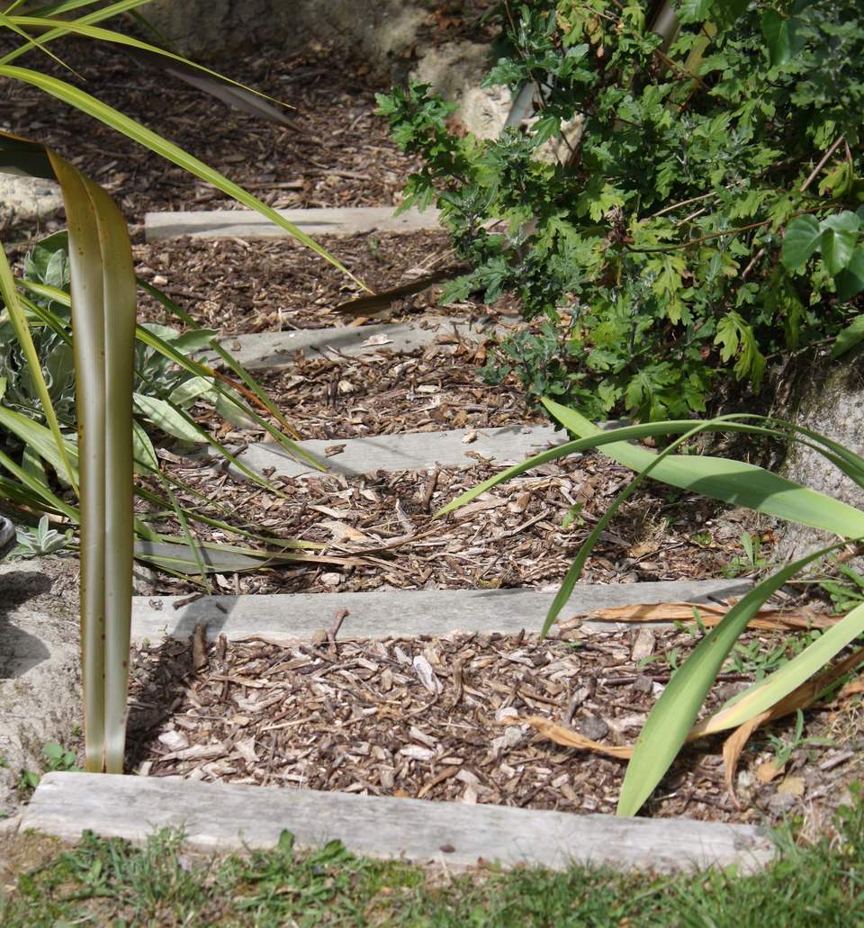 Timber-edged garden steps filled with bark mulch, flax leaves arching over them